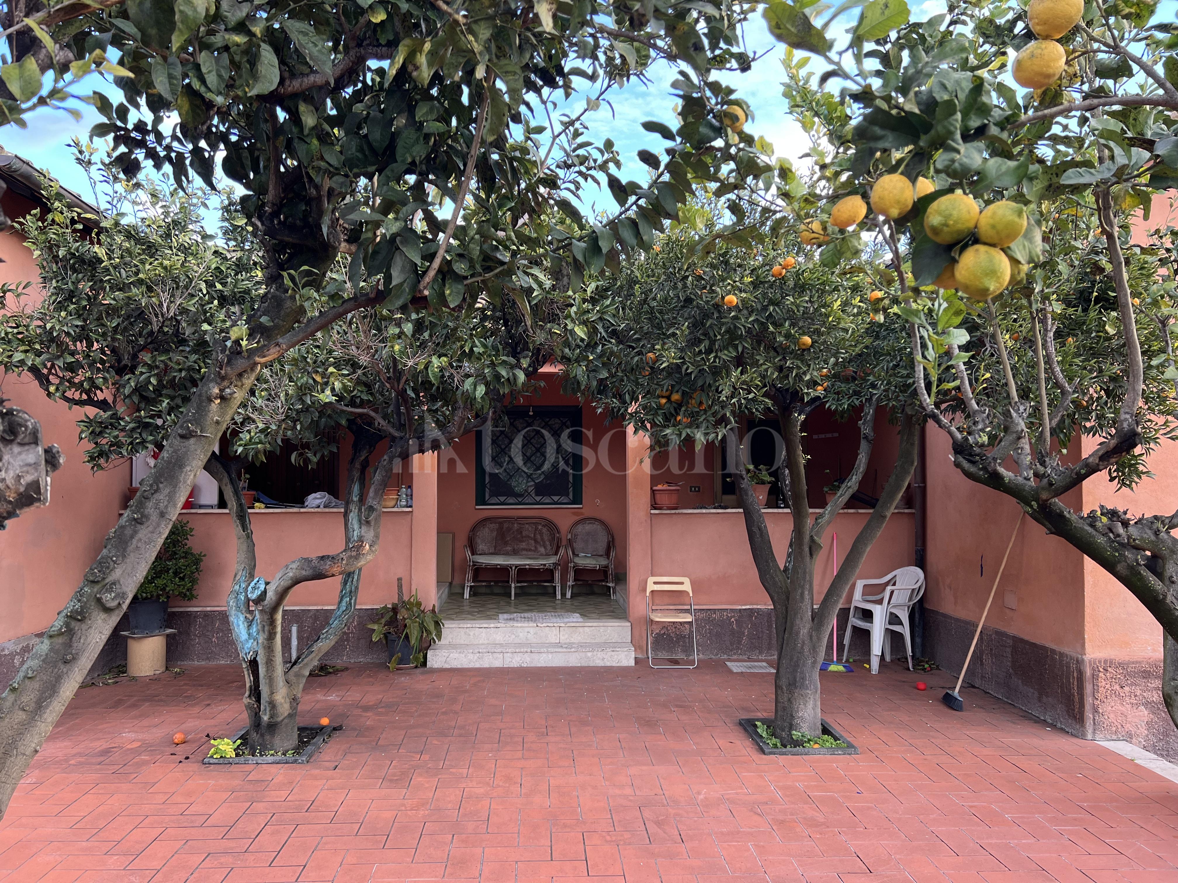 immagine annuncio 2 di 4