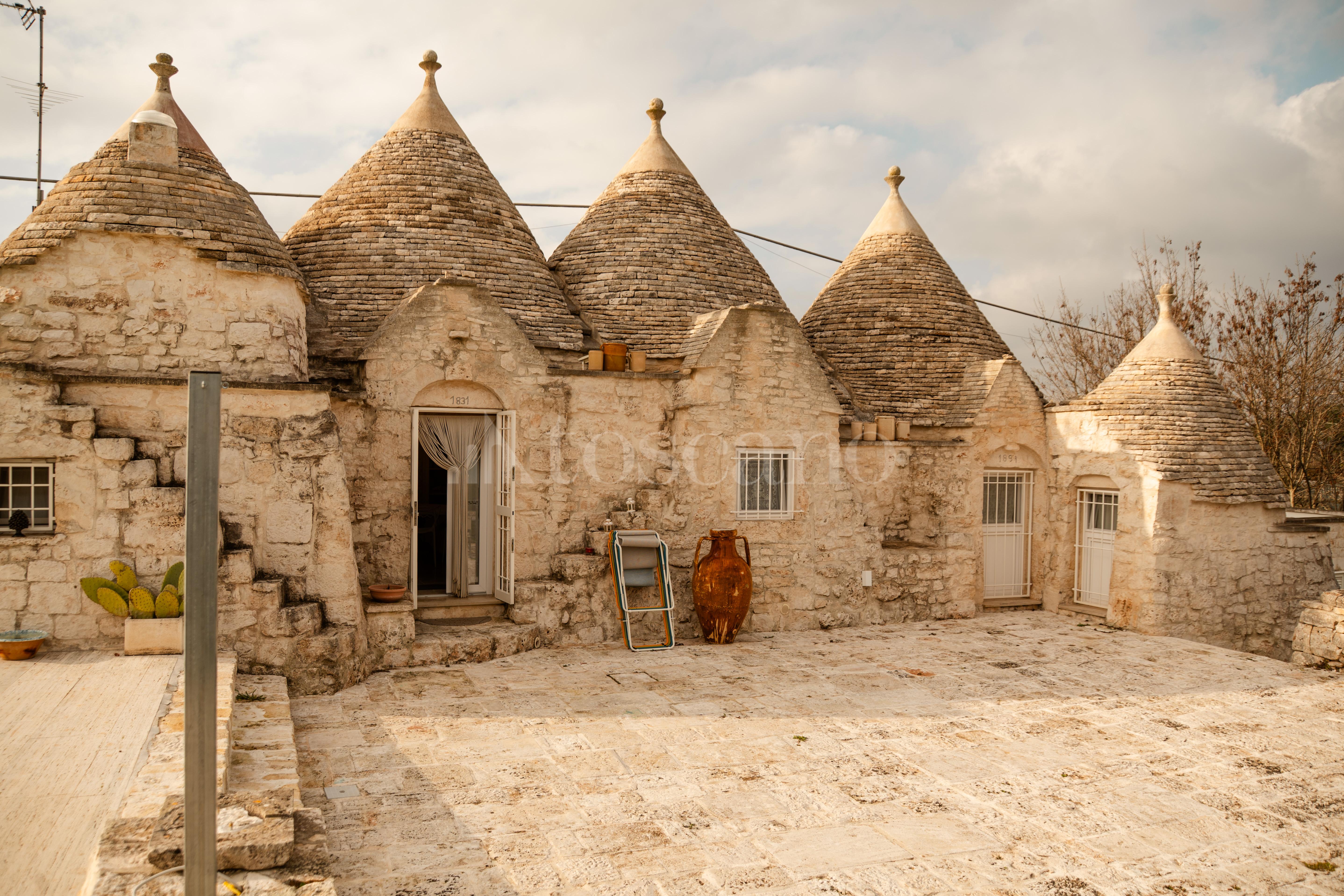 immagine annuncio 13 di 15