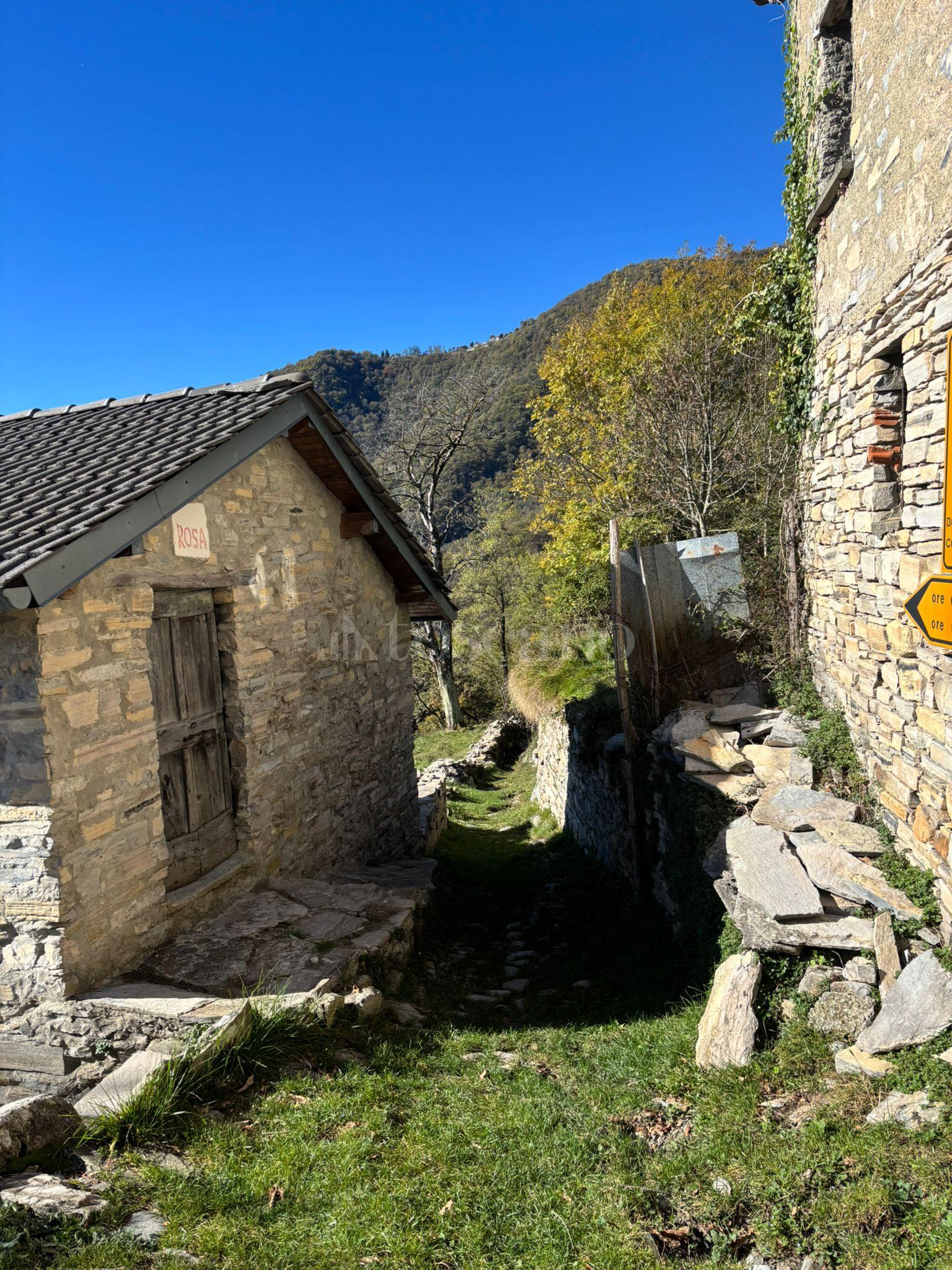 immagine annuncio 11 di 14