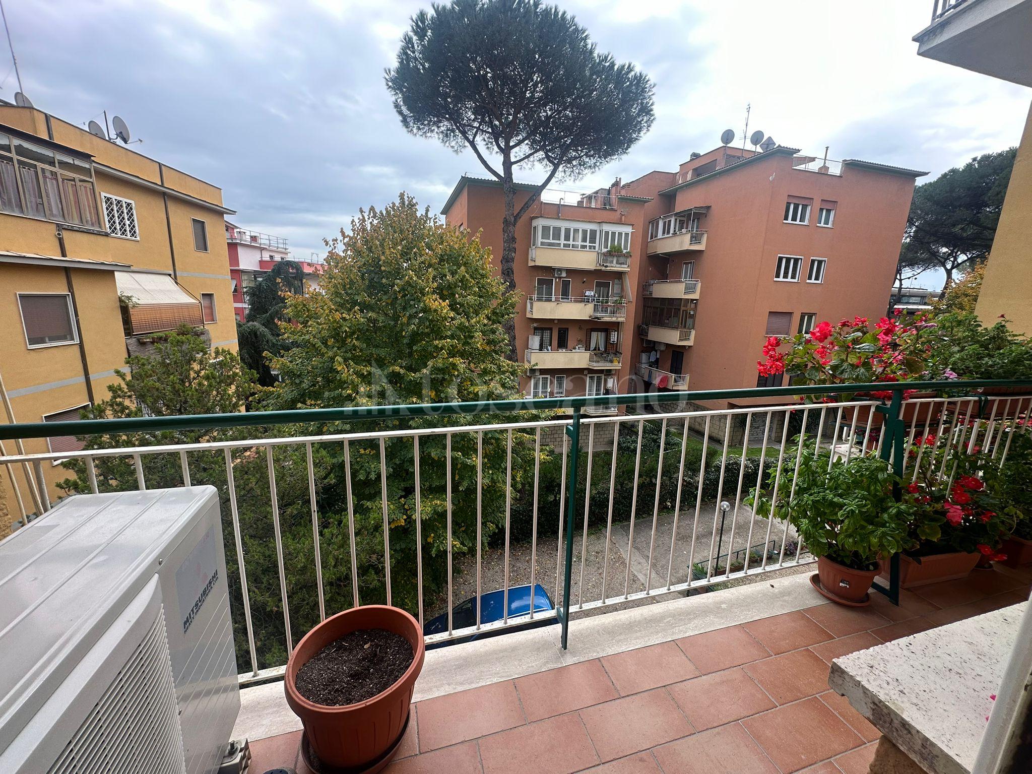 immagine annuncio 12 di 14