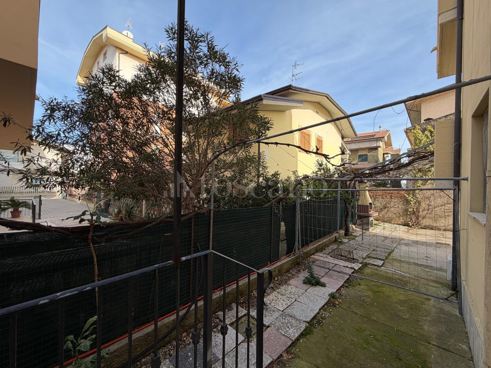 immagine annuncio 10 di 12