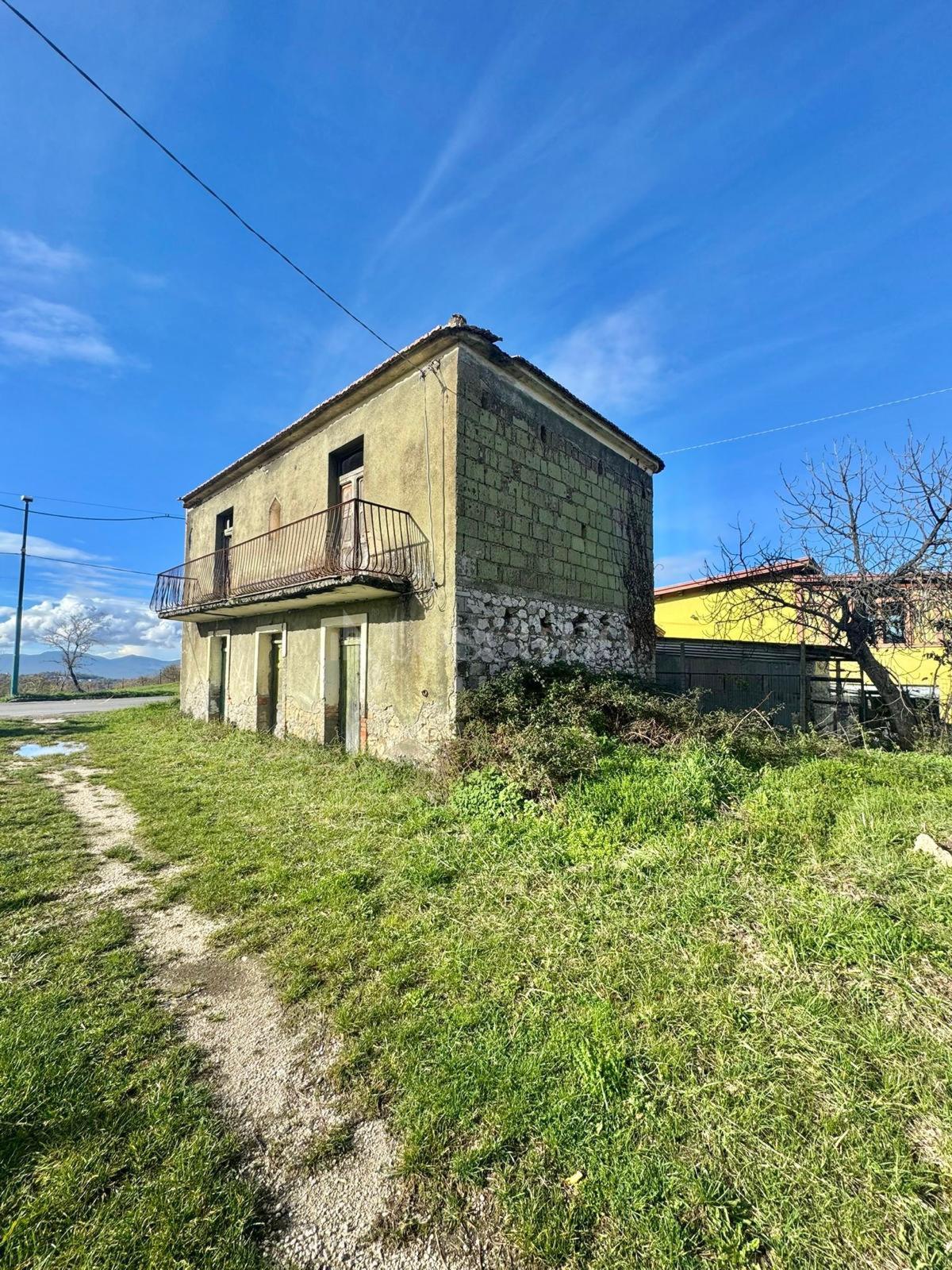 immagine annuncio 3 di 14