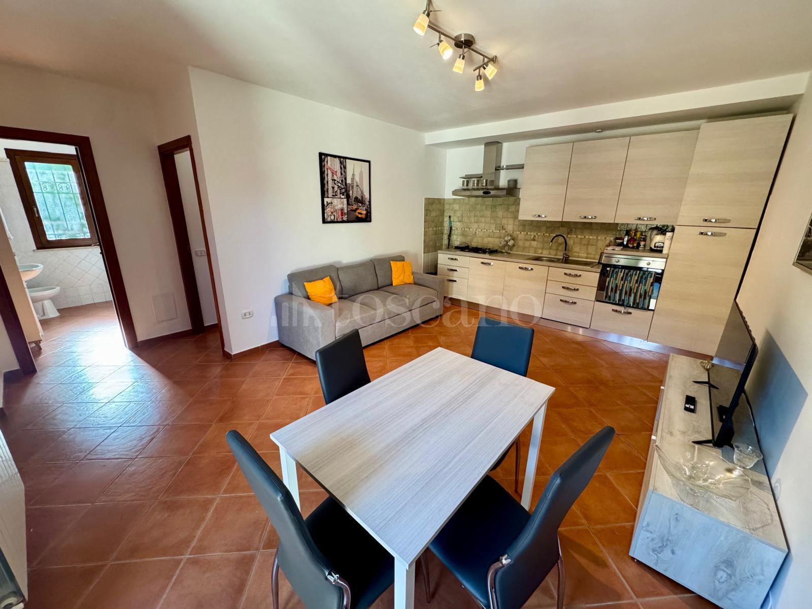 immagine annuncio 9 di 14