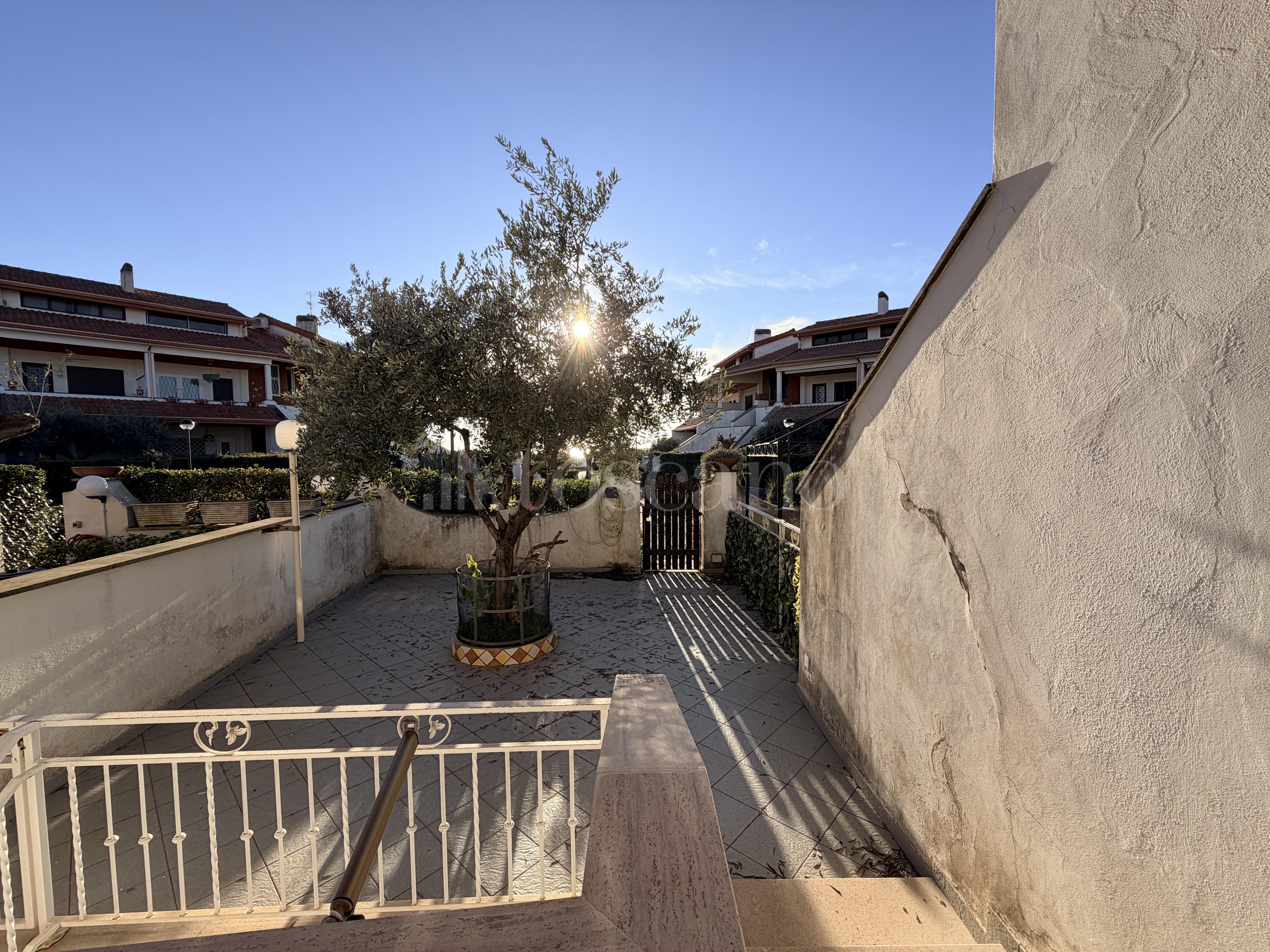 immagine annuncio 7 di 15