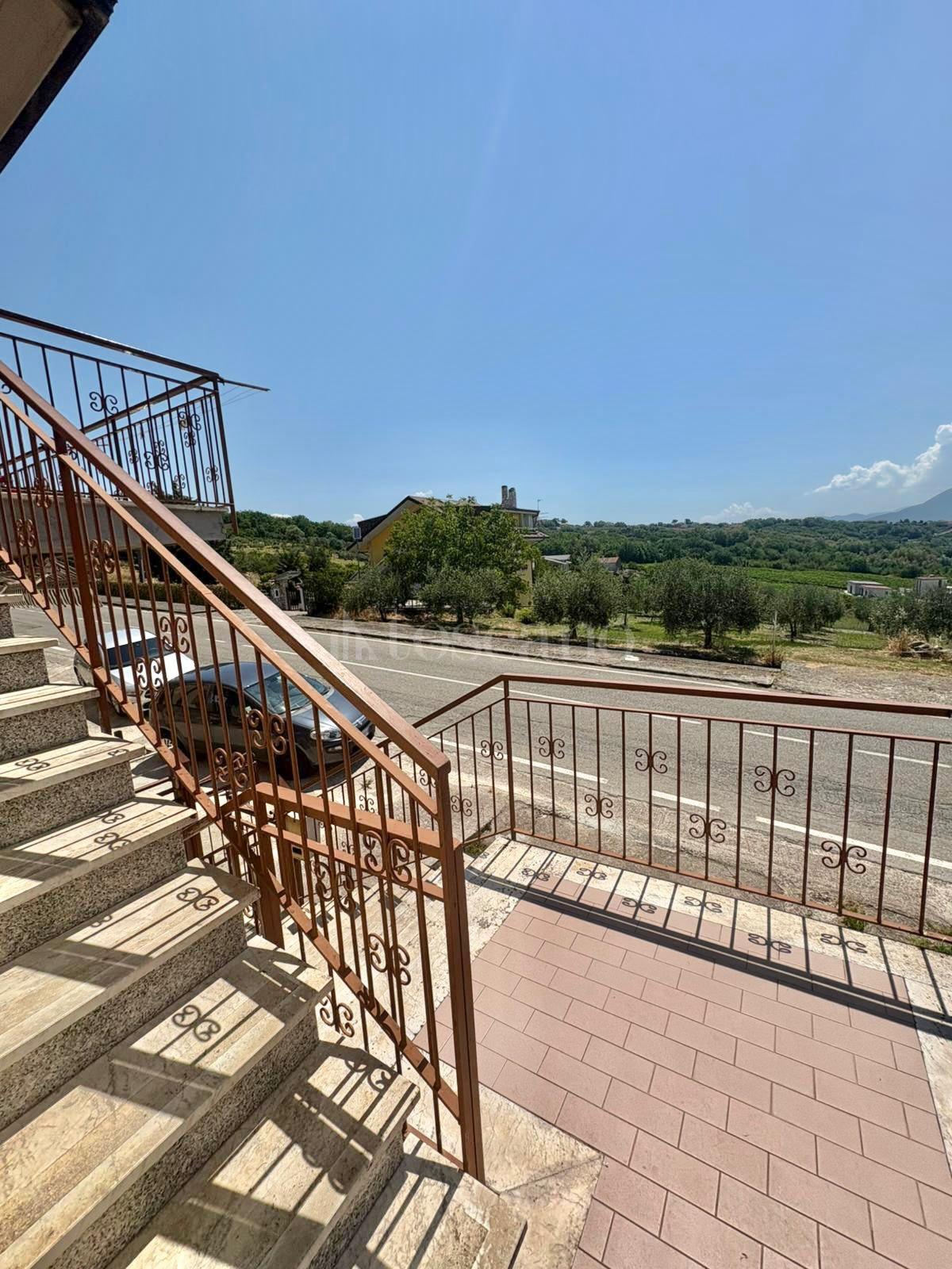 immagine annuncio 5 di 14