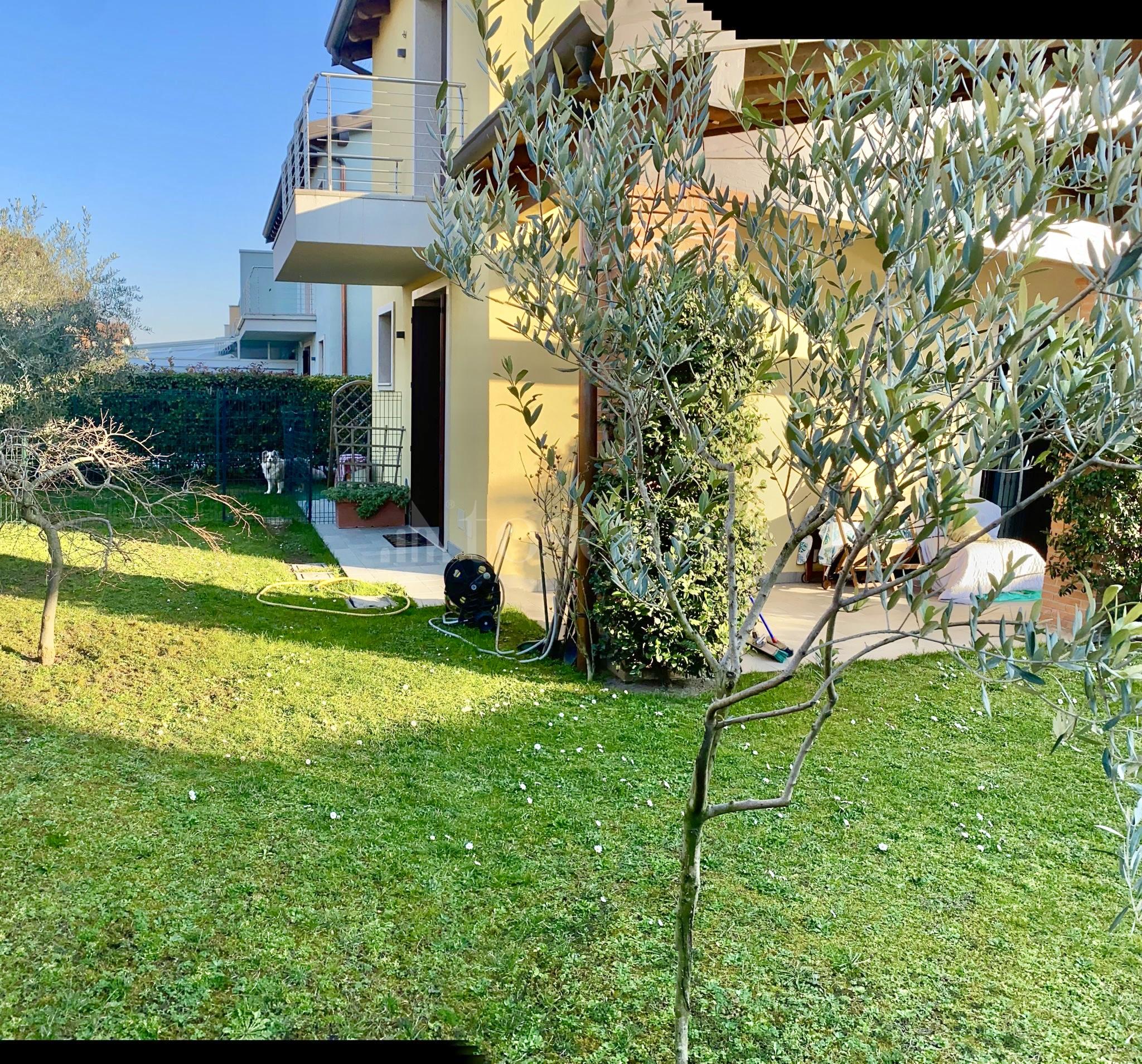 immagine annuncio 12 di 15