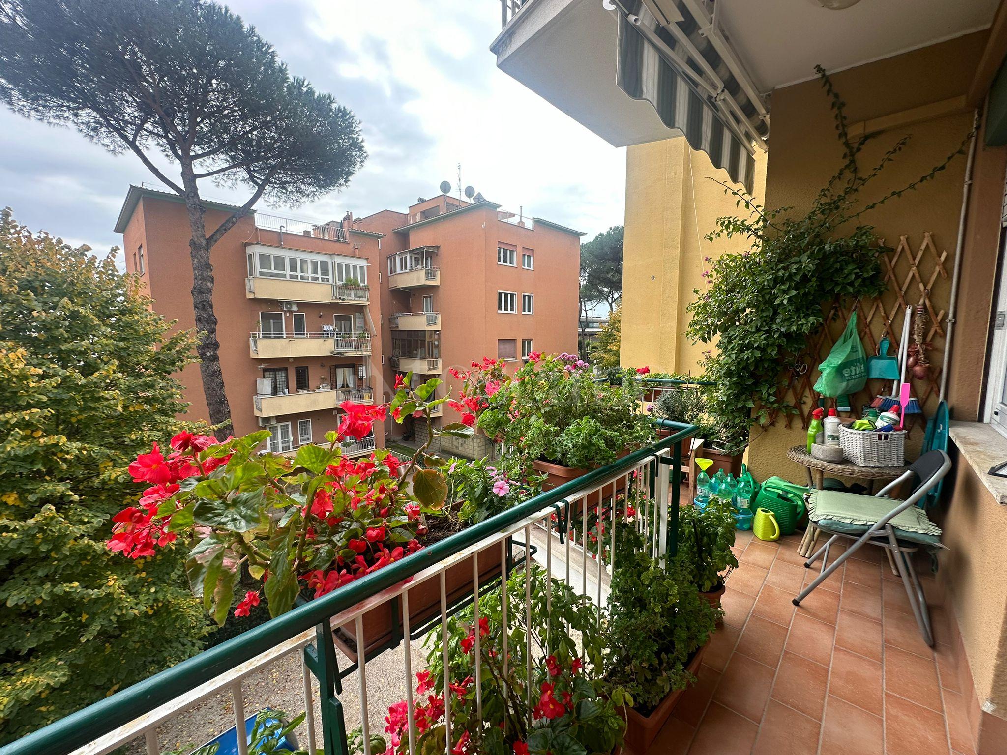 immagine annuncio 10 di 14