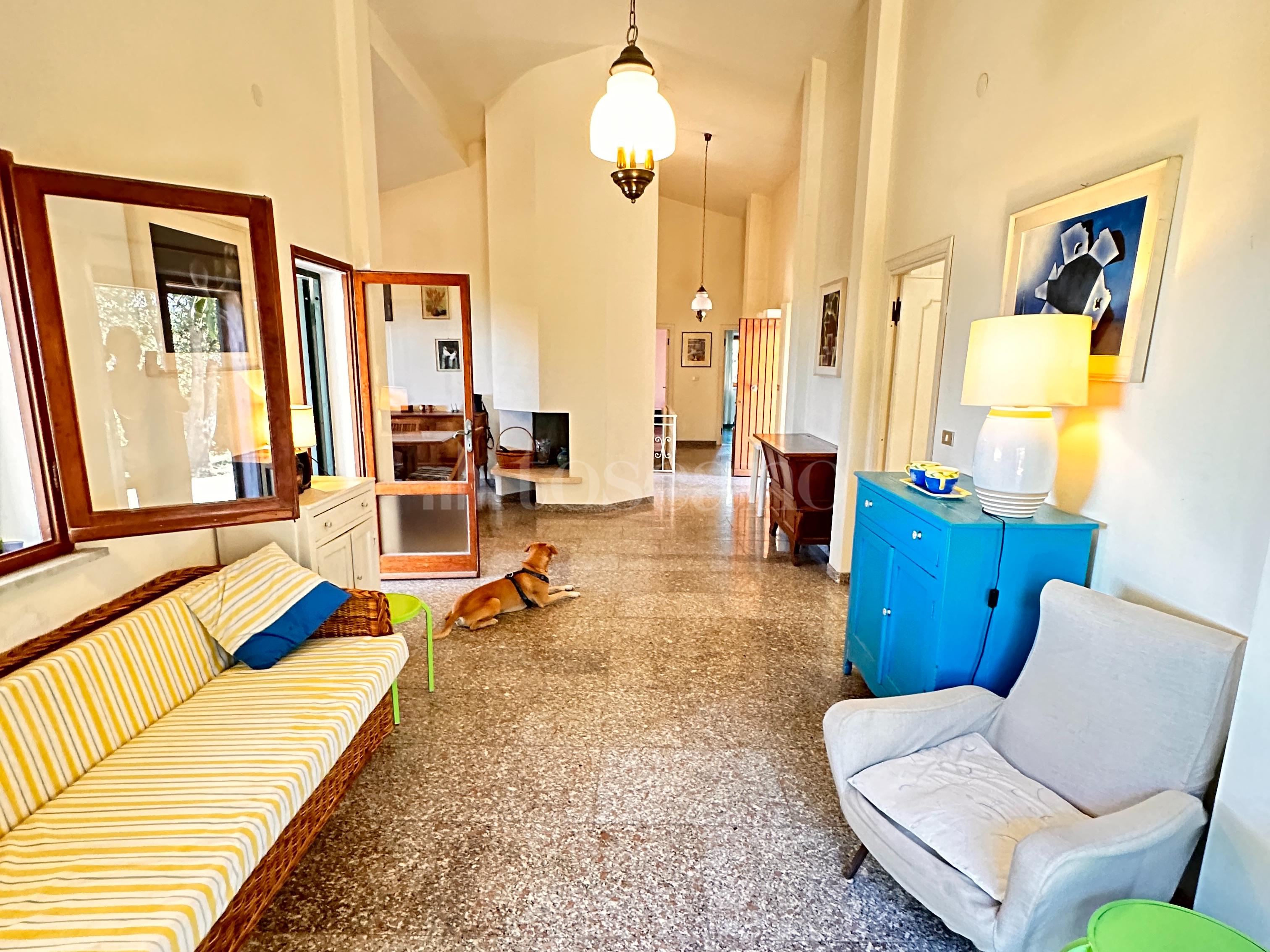 immagine annuncio 10 di 15