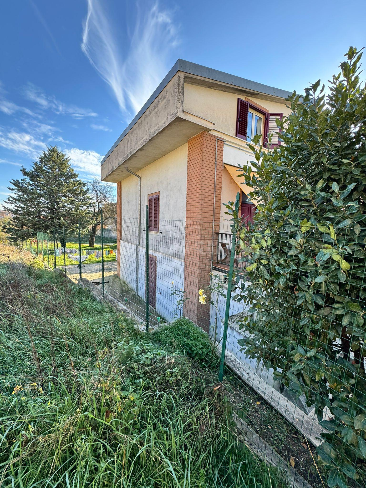 immagine annuncio 6 di 12