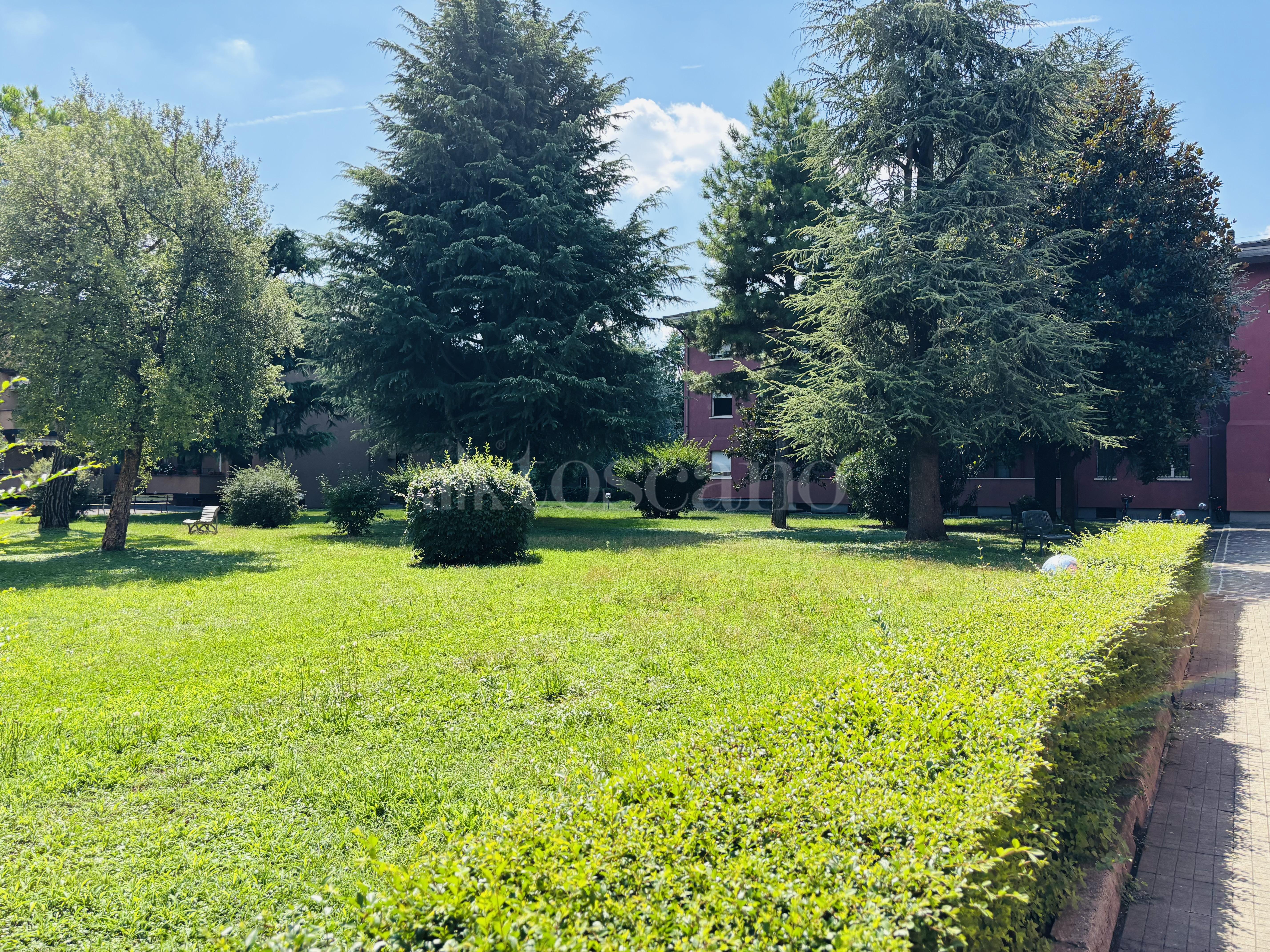 immagine annuncio 5 di 15