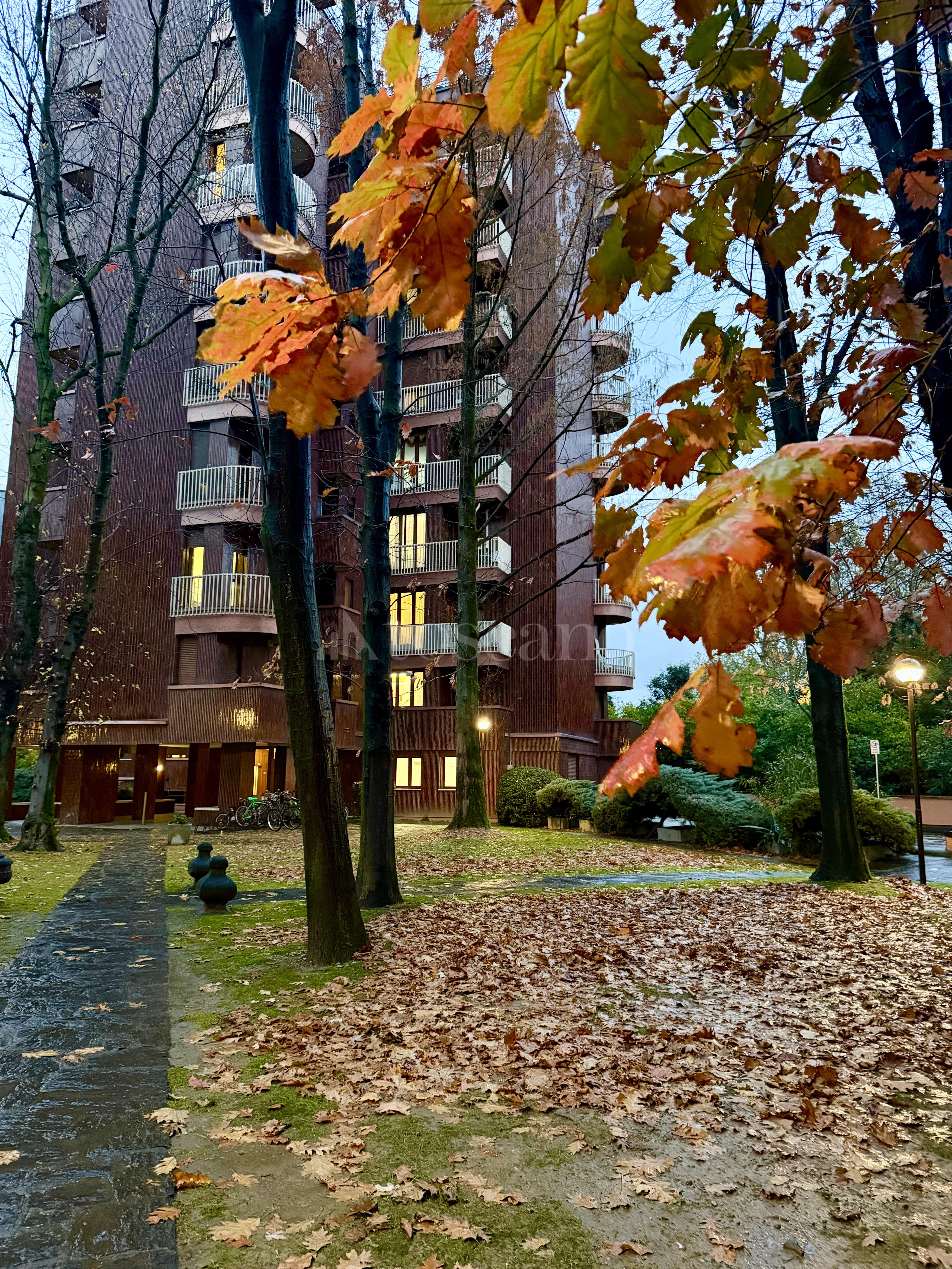 appartamento in affitto a San Donato Milanese